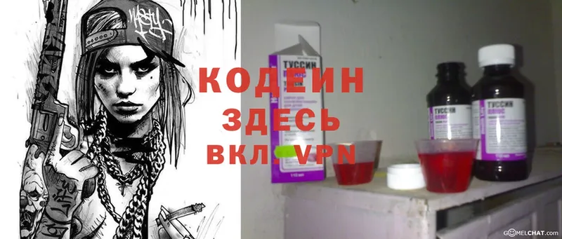 купить   Кизляр  Кодеиновый сироп Lean Purple Drank 